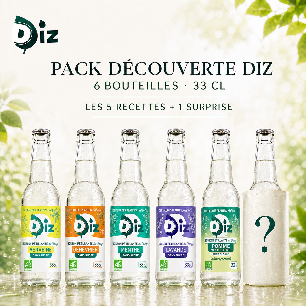 Le pack découverte DIZ de six bouteilles de 33 cl