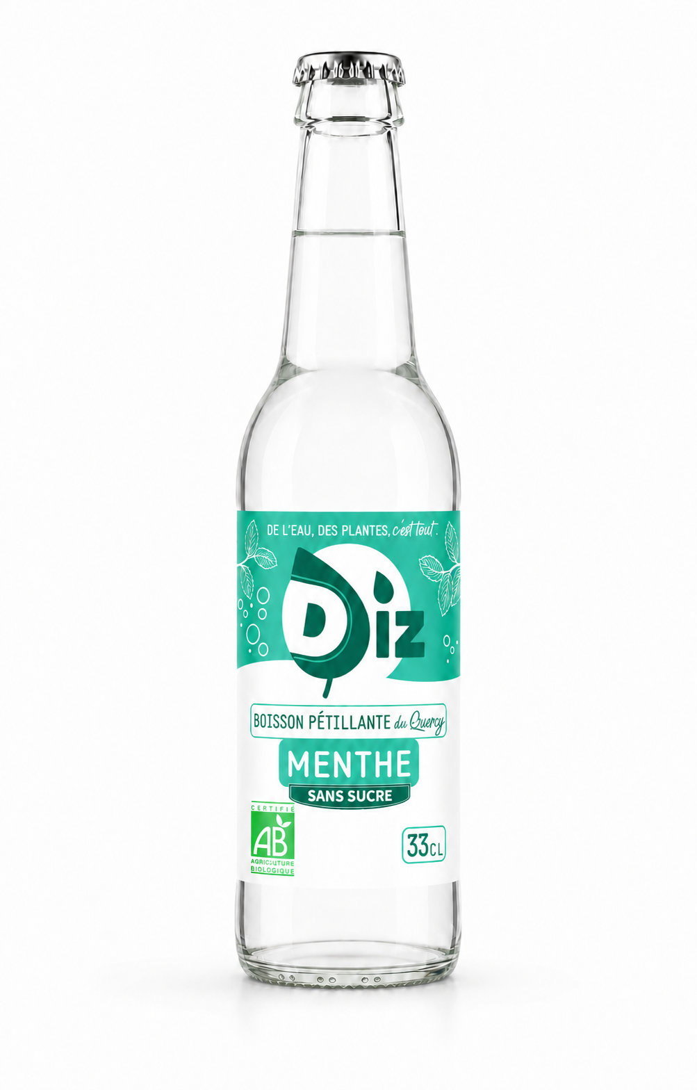 Bouteille DIZ Menthe