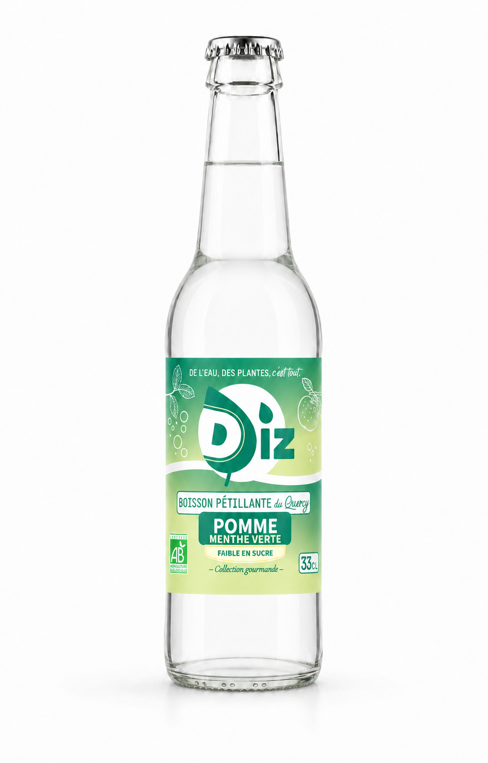 Bouteille DIZ Pomme Menthe