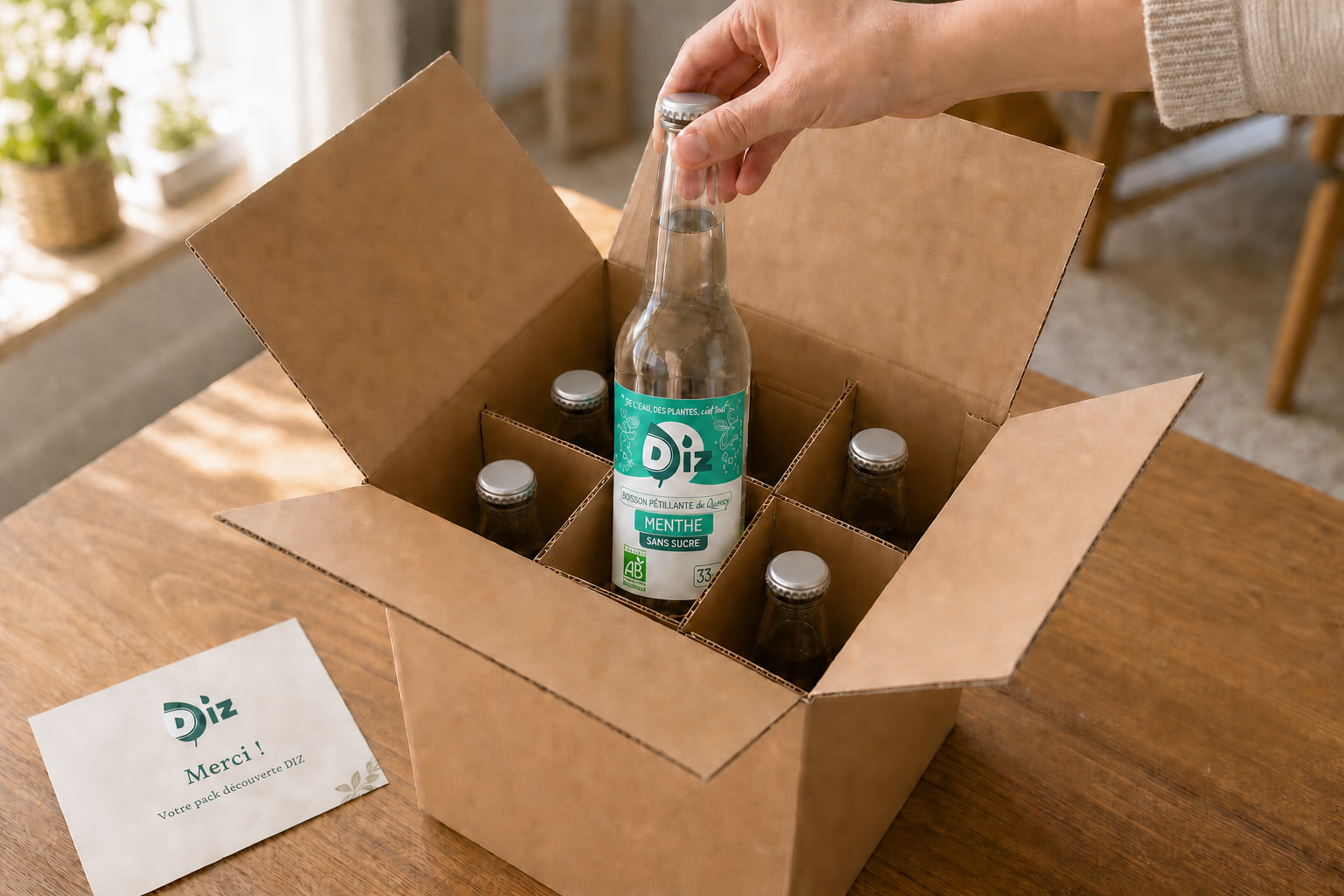 Le pack découverte DIZ, six bouteilles de 33 cl