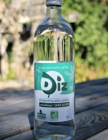 Gamme 1 des boissons Diz, de l'eau, des plantes, c'est tout.