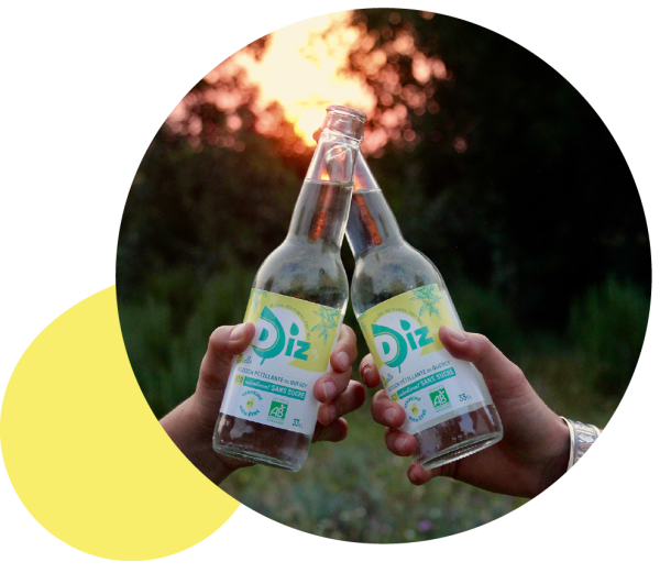 Boisson Diz au format 33 cl