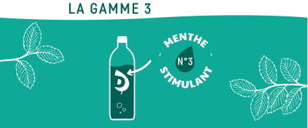 MENTHE STIMULANTE